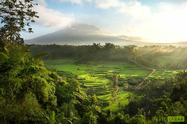 A Glimpse of Hidden Bali